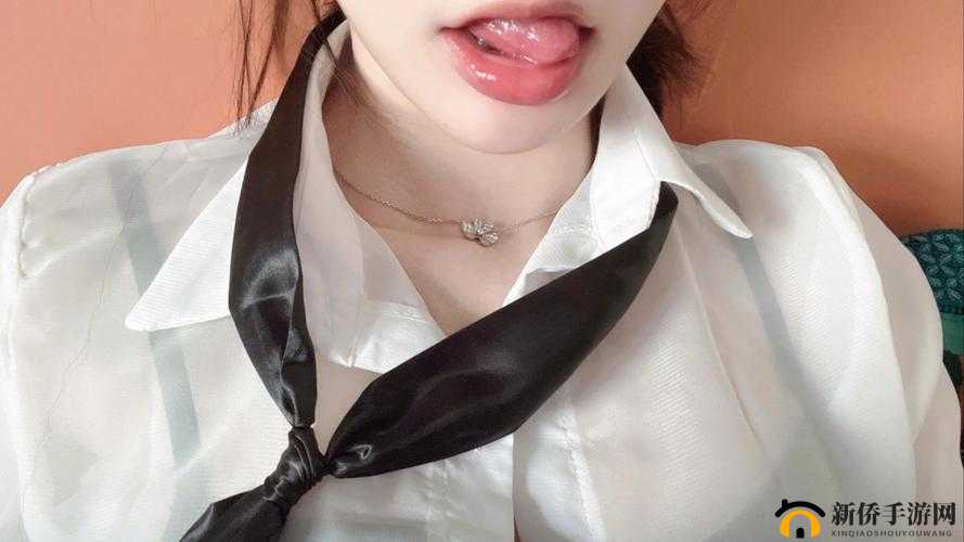 完具娜美妖姬的独特魅力与奇幻之旅