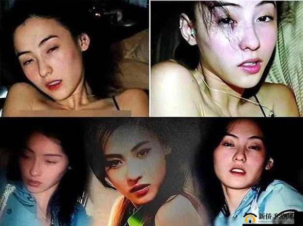 张柏芝门照艳原图引发的震撼与思考