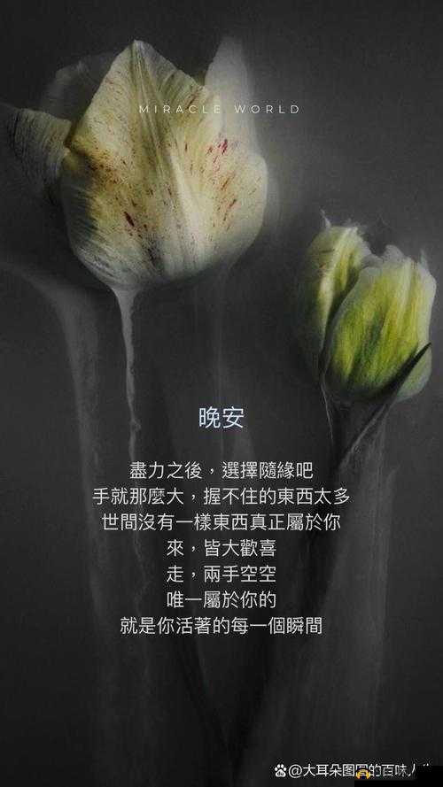 天天想你今夜无人入眠:心灵深处的无尽思念与守候