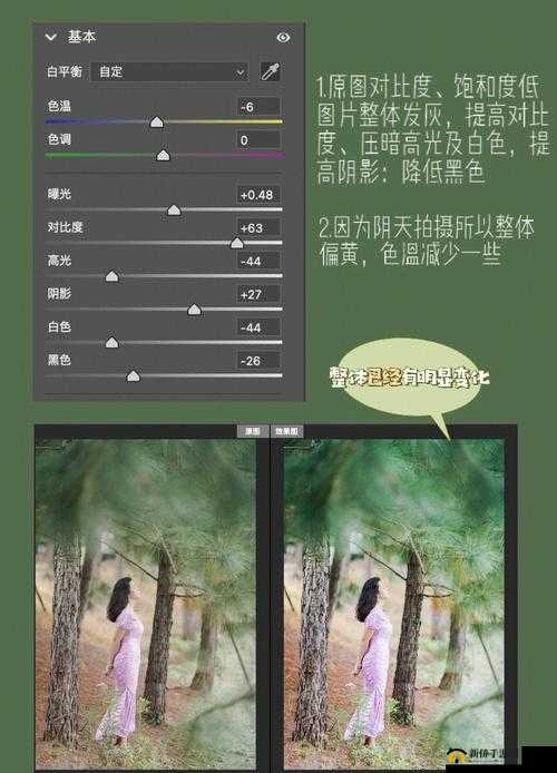 免费 PS 大片调色软件下载:让你的照片惊艳众人