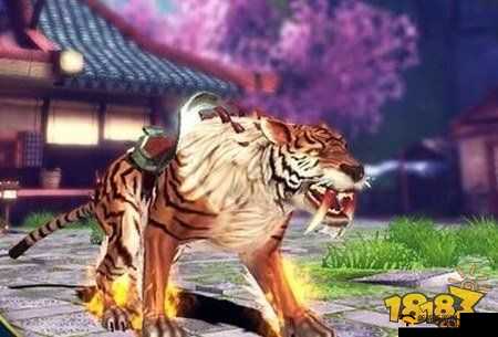 太极熊猫3,猎龙坐骑升阶系统深度揭秘,打造你的专属神兽!