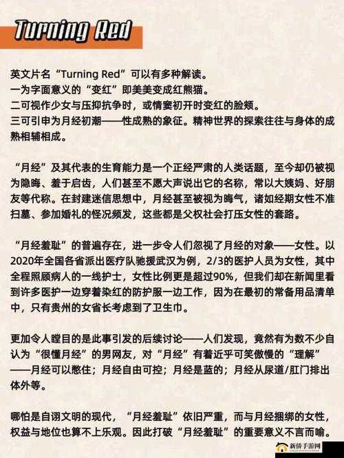女厕露 13B 惊现:引发的一系列思考与探讨