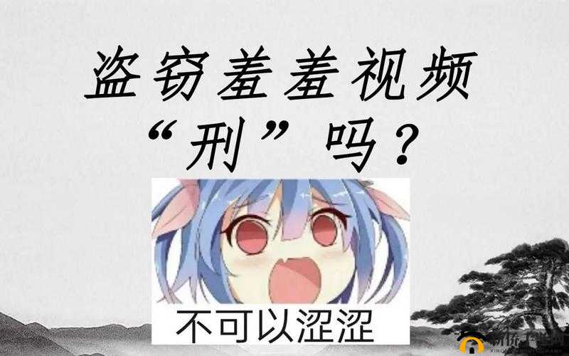 B 站羞羞视频泛滥:对平台内容监管及青少年影响的探讨