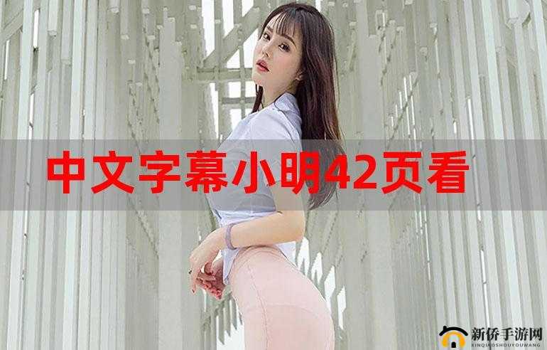 小明看看永久局域首页:带你领略独特的网络世界