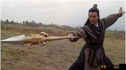 一杆长枪直插两扇门:是情趣还是暴力?