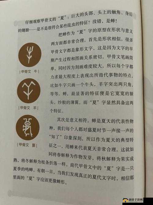 公的浮之手中字:解读其独特的文字魅力与内涵