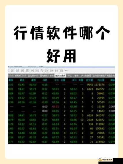 免费行情软件网站下载大全:各类优质行情软件一网打尽
