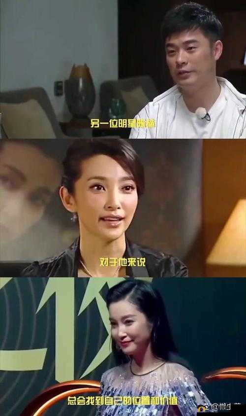大佬们究竟是如何玩明星的:揭秘其背后的玩法