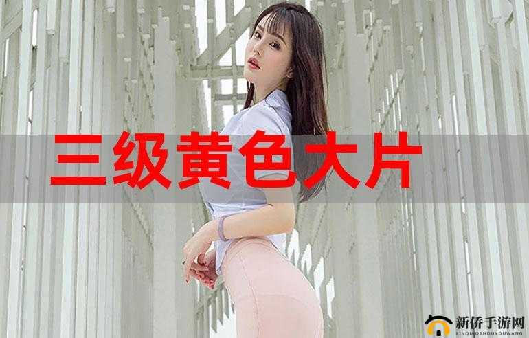 关于璜铯网站大片的精彩内容呈现及相关探讨