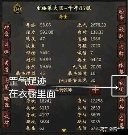 武道乾坤,探索手游战场系统的深度与广度