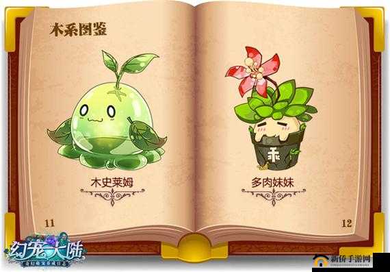 幻宠大陆,萌宠体系全揭秘,六系种族大不同