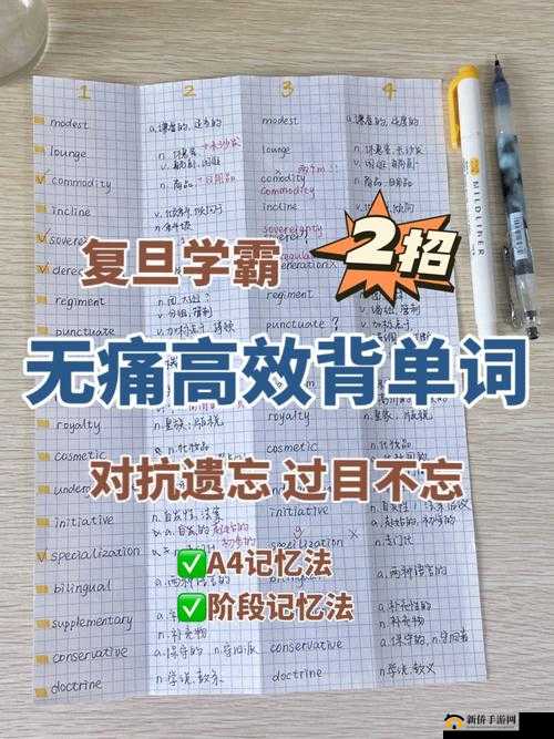 坐在学霸的鸡上背单词双楠:独特高效的学习方式探索