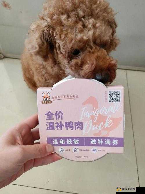 人狗胶配方大全狗狗:探索狗狗饮食的神秘配方世界