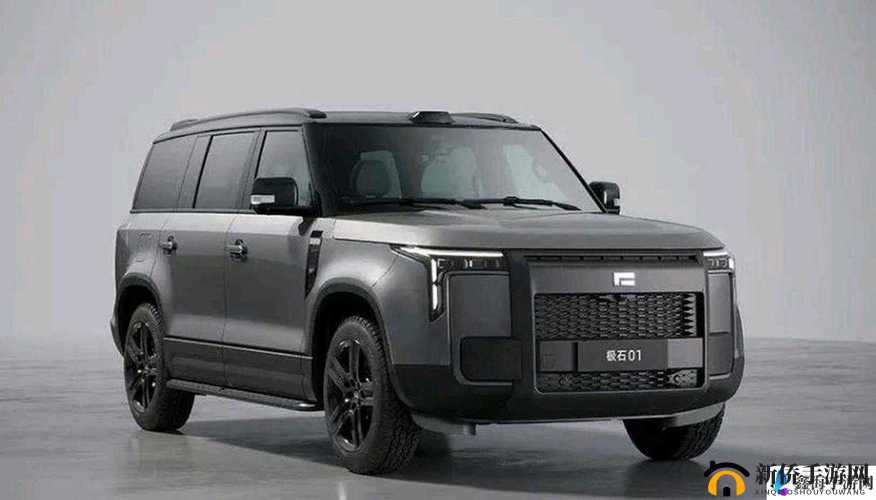 497799 欧洲版国产 SUV 全面评测：深度剖析其性能与亮点