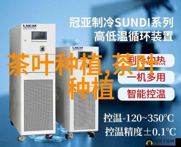 仙女棒坐姿图片大全:各种精美仙女棒坐姿图片展示集合