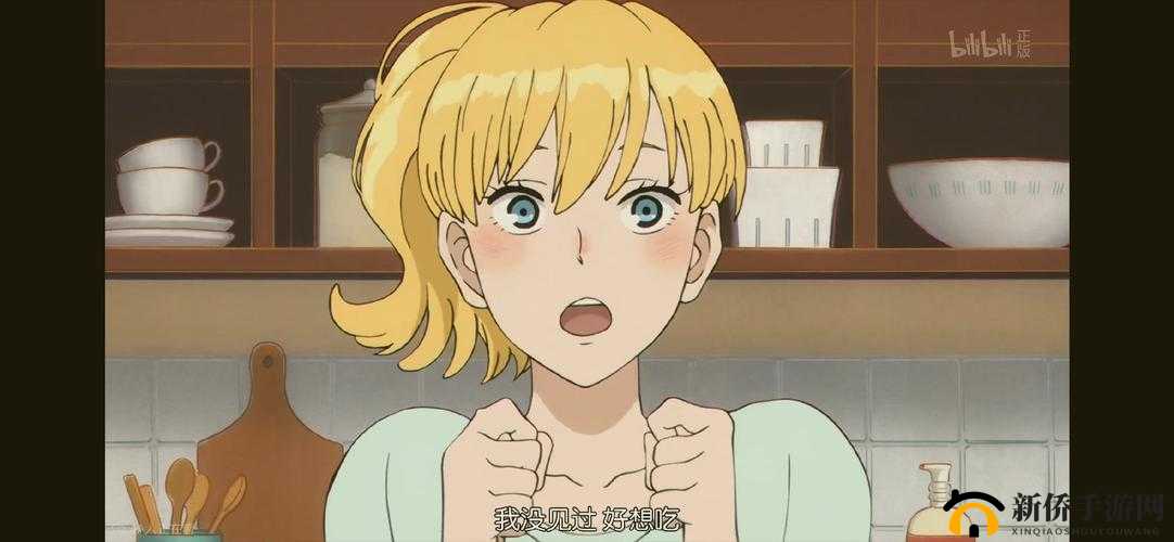 ACCA 少女 SDANVI:正义的守护与成长之路