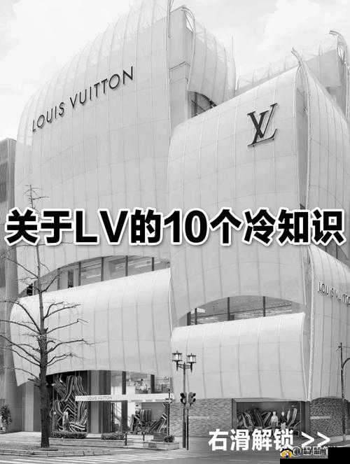 完全占有 1LVLH:关于其深入解读与全面剖析