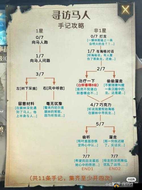 哈利波特禁林手记:探索神秘禁林的奇幻冒险与秘密故事