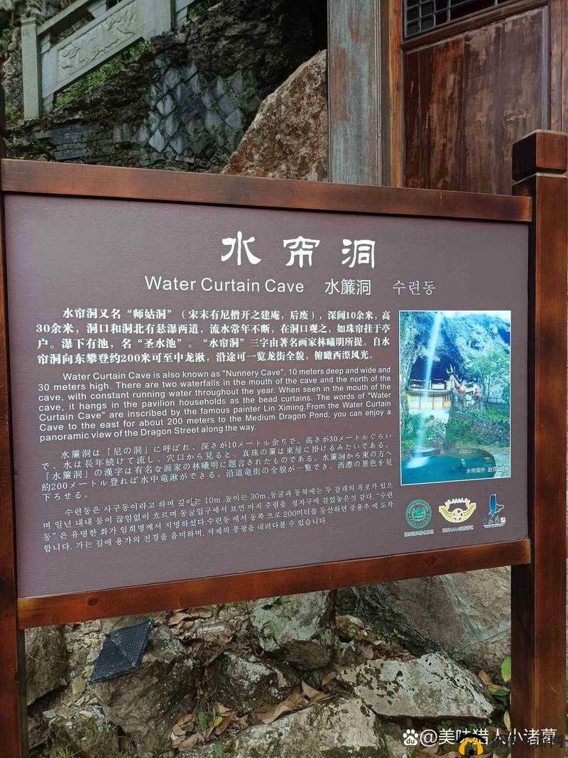 水帘洞的水都拉丝了怎么办:探寻解决之策与原因分析