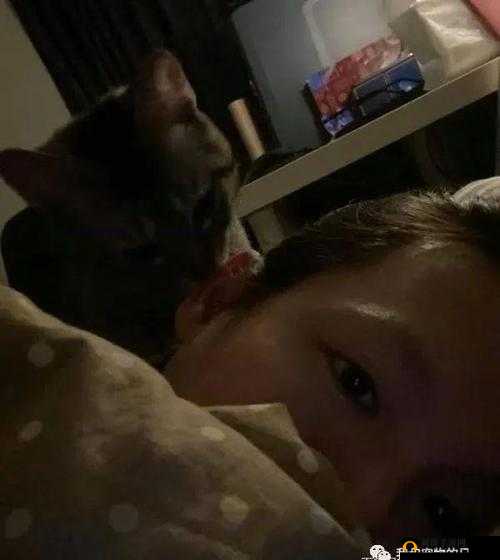 半夜装睡配合孩子阴阳调和:为孩子健康成长的独特方式