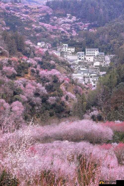 探寻心中的桃花源,一场关于理想生活的哲学之旅