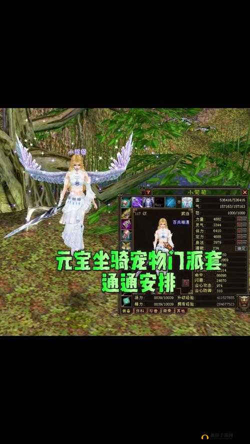 天龙八部坐骑攻略，如何获取坐骑及其资源管理艺术