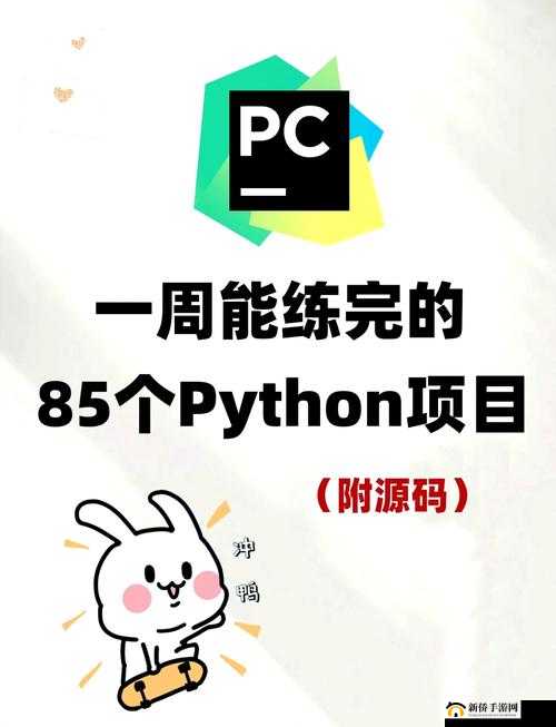 Python 人马大战 CSDN 免费专区:探索编程世界的精彩对决