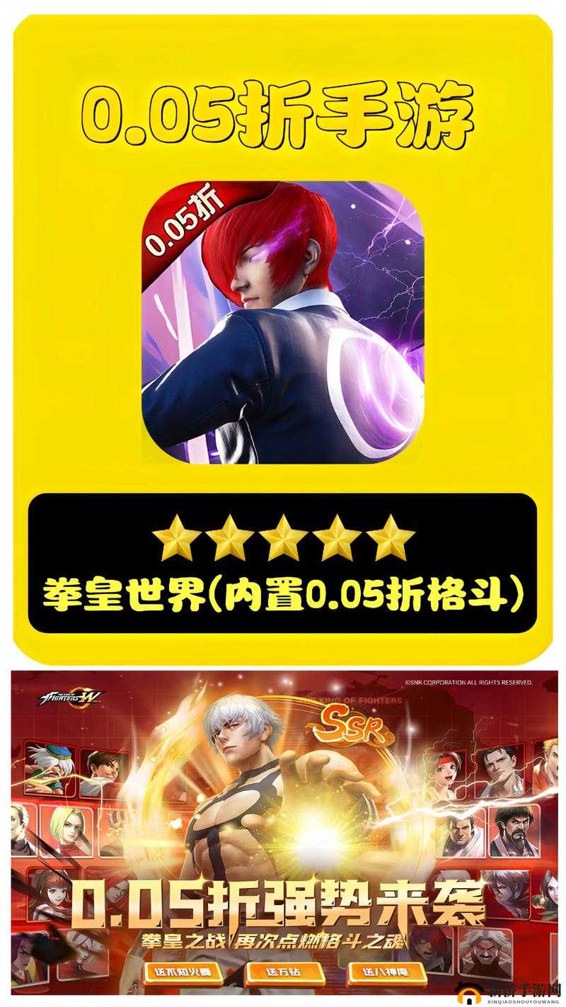 拳皇世界格斗家培养,格斗家的强力之道在资源管理中的重要性及策略