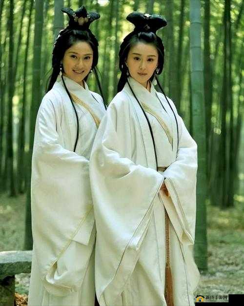 三国大英雄角色解读,二乔之小乔介绍在资源管理中的重要性及策略