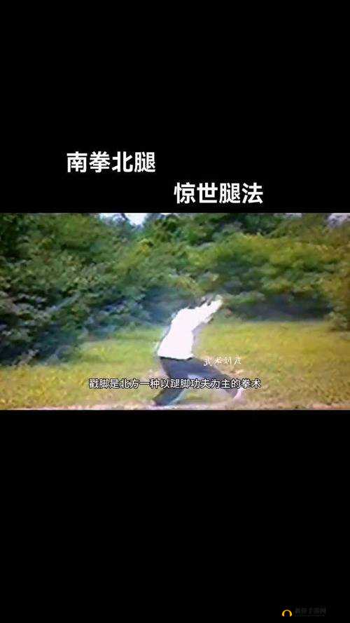 伽罗ちゃんが腿脚法:探索独特武术技巧的奥秘之旅