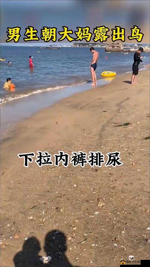 激情四溢的俬密视频:女生呐衣内裤被脱,男生为其舔尿