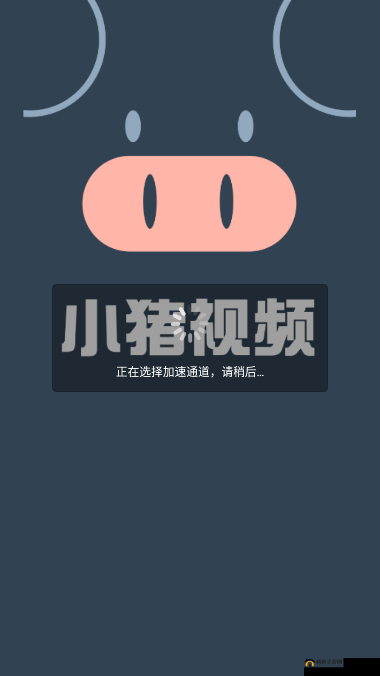 小猪视频,一个汇聚各类精彩视频的 APP,让你的娱乐时光更加丰富多彩
