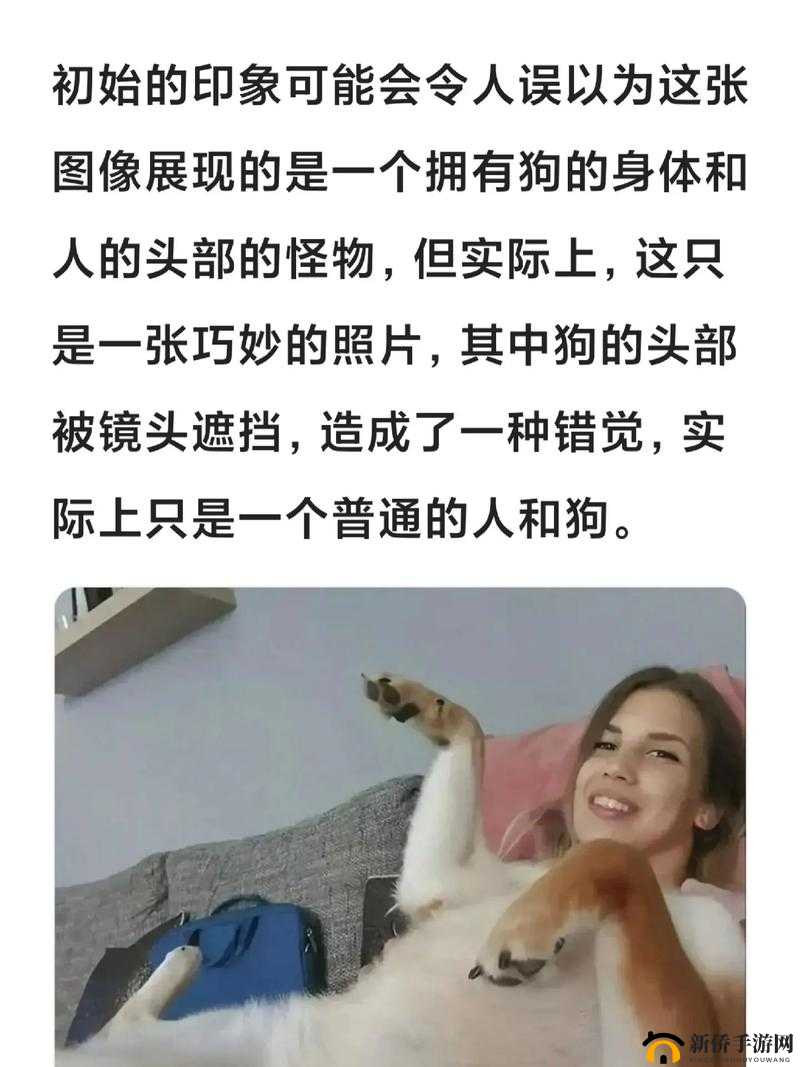 97 色视:一种独特的视觉体验