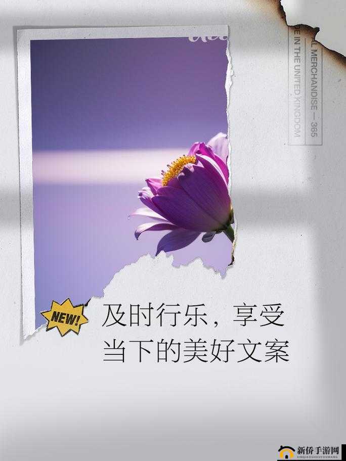 及时行乐 nph :在有限时光中尽情享受人生的真谛