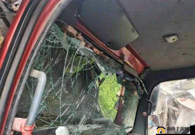9 分 10 秒头撞玻璃:这一惊人举动背后的原因究竟是什么