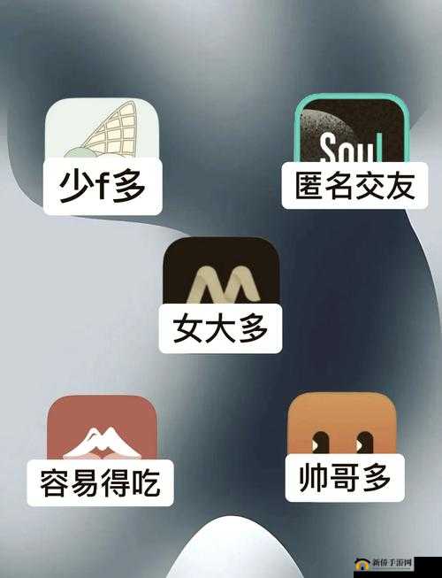 叔叔不约匿名聊天交友软件:开启心灵交流的神秘之旅