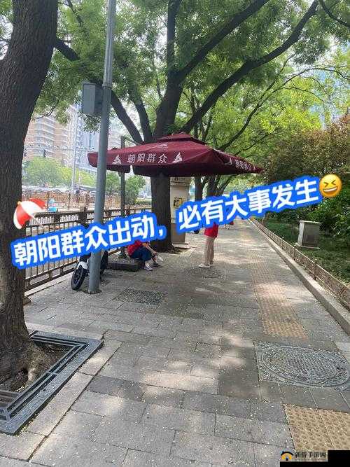 朝阳群众 51cgfun 最新 2024:揭秘不为人知的神秘力量