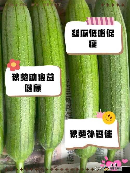 丝瓜秋葵草莓香蕉榴莲绿大全:各类蔬果的绿色盛宴详情
