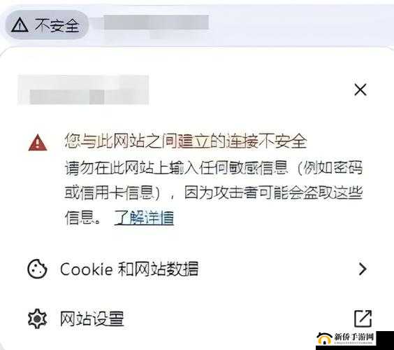哪个浏览器不屏蔽 p 站:探寻不屏蔽该网站的浏览器有哪些