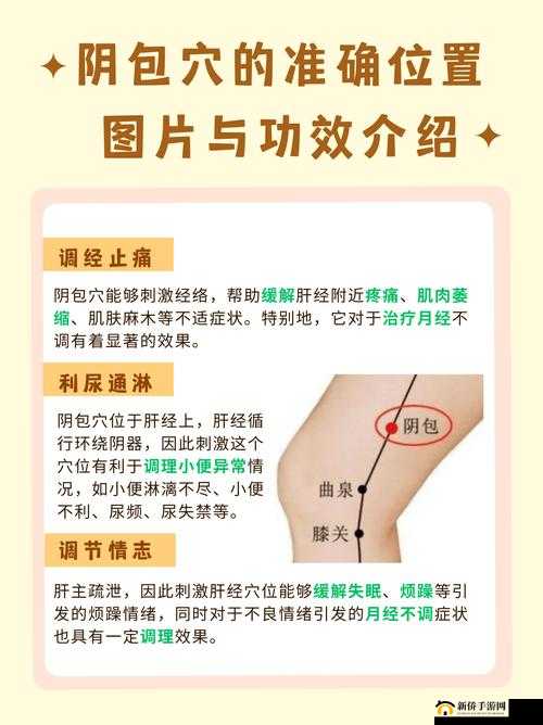 老中医李雪妮排阴毒的疗法如何:探寻其独特功效与奥秘