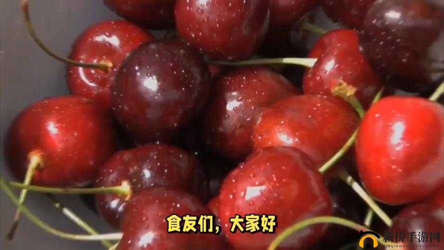樱桃网址入口:带你探索精彩无限的网络世界
