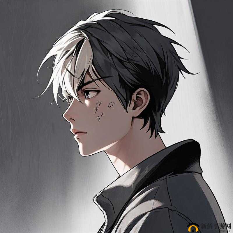 霸道男男高 HNP:襟忌之爱,挑战论理底线