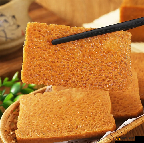 炖肉计是今海棠:关于美食与情感的故事探讨
