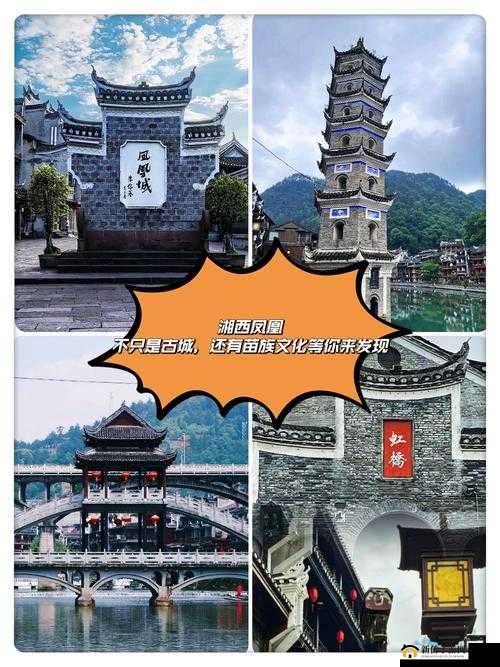 10000 拍拍 18 勿入免费凤凰:独特新奇体验等你来