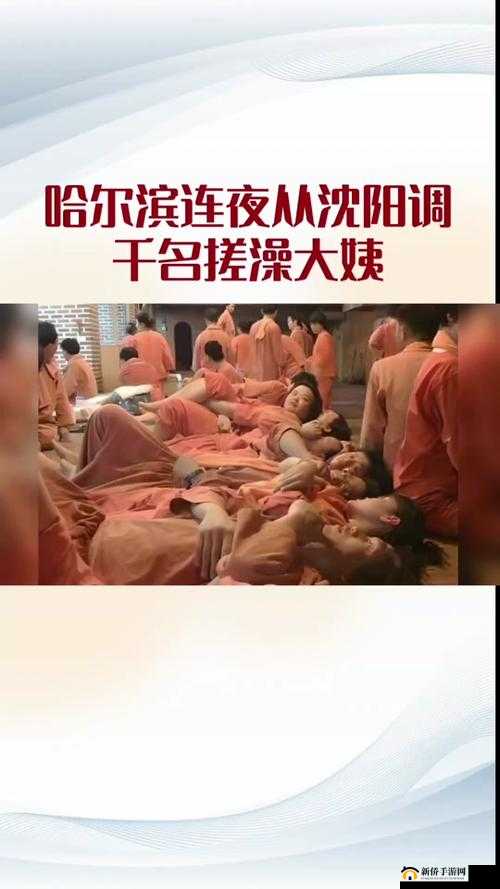 沈阳大姨的声音为什么那么好听:背后的魅力解析