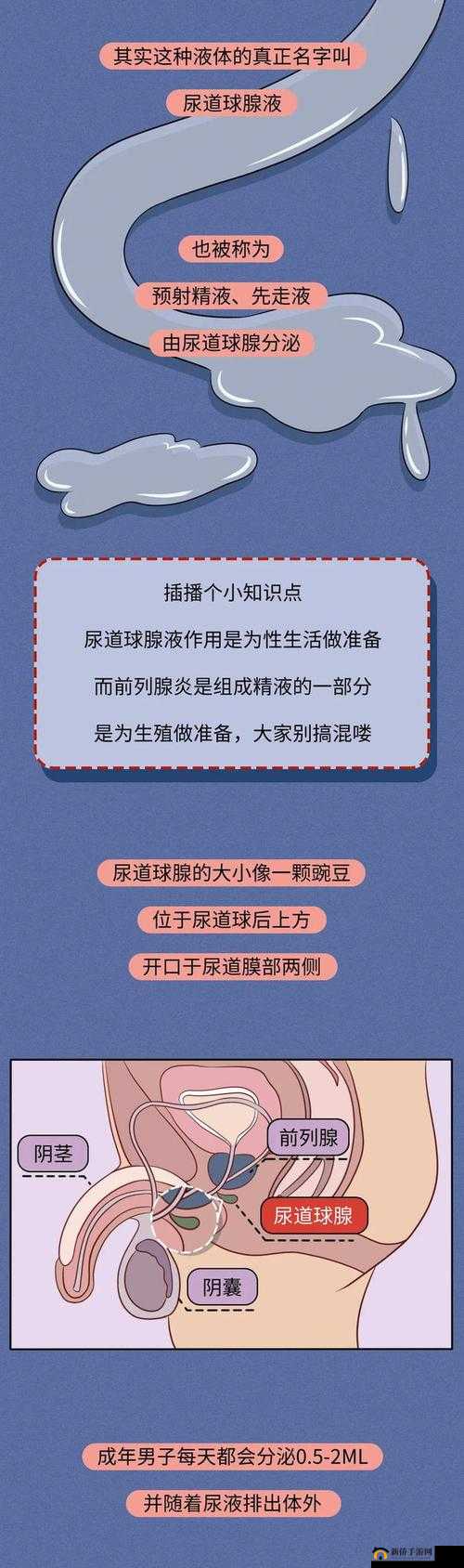 男生流出白色的粘稠物是什么:可能的原因和相关知识介绍