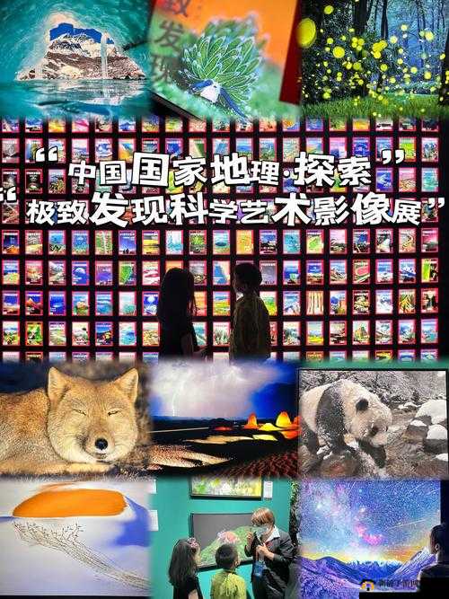国产密精品入口欧亚色大:探索极致精彩世界
