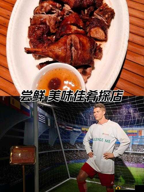 骚鸭 A V 相关内容:独特视角解读与探讨