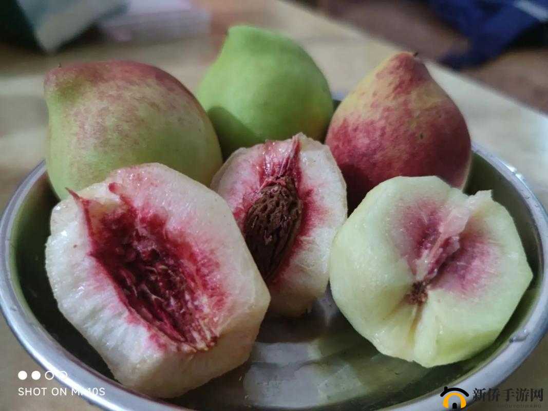 看腻了千篇一律的视频?试试这款不一样的桃子视频