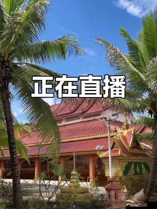 今天高清视频免费观看:精彩内容等你来发现